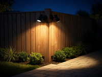 TwinArc Dual-Head Wall Lamp 4