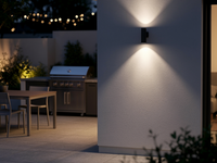 CourtSconce Exterior Wall Light 4