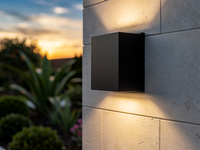 NoirPark Aluminum Wall Lamp 2