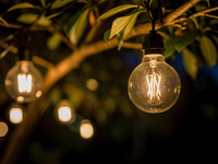 LumenFairy G40 Solar Garland 5