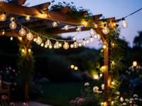 LumenFairy G40 Solar Garland 1