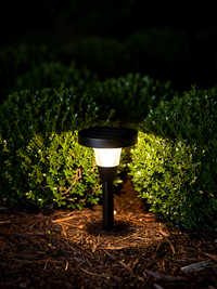 GardenAura Solar Path Lights 4